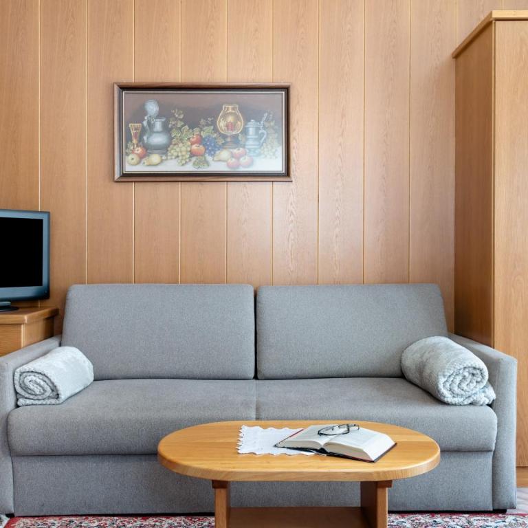 Mayr Apartments Drei - Superior One-Bedroom Apartment with Balcony - 8