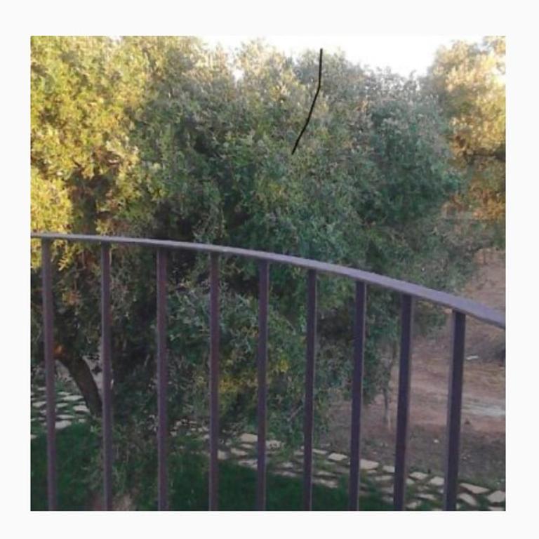 Residenze Uliveto - Rooms - Camera Singola con Vista Giardino - 9