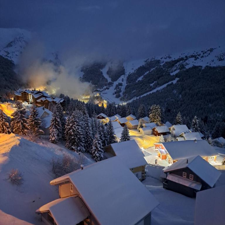 Superbe Duplex- Résidence Alpine - Appartamento Superior con Sauna - 42