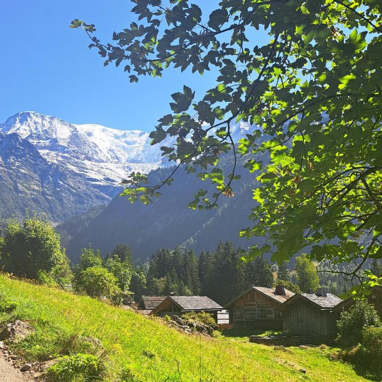 Superbe Duplex- Résidence Alpine - Appartamento Superior con Sauna - 30