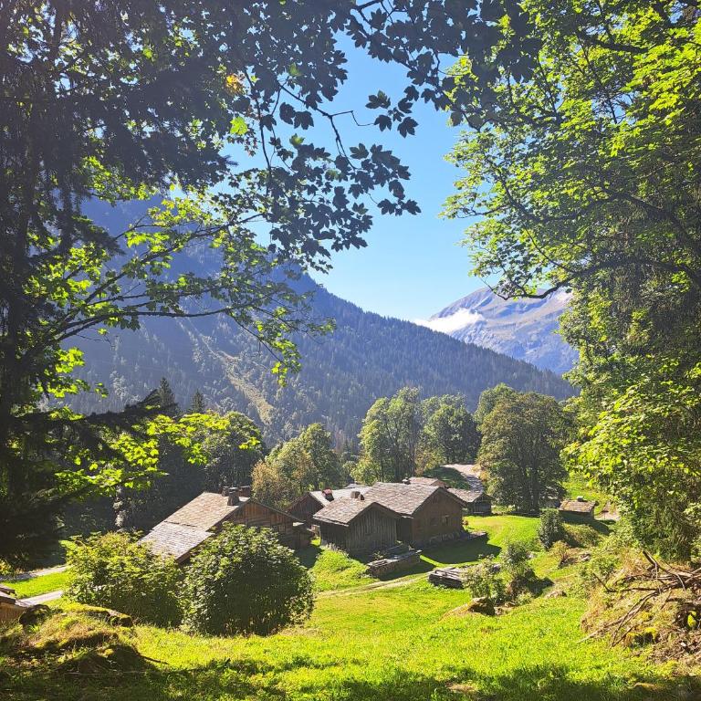 Superbe Duplex- Résidence Alpine - Appartamento Superior con Sauna - 31