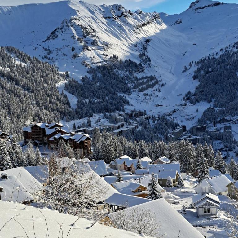 Superbe Duplex- Résidence Alpine - Appartamento Superior con Sauna - 40