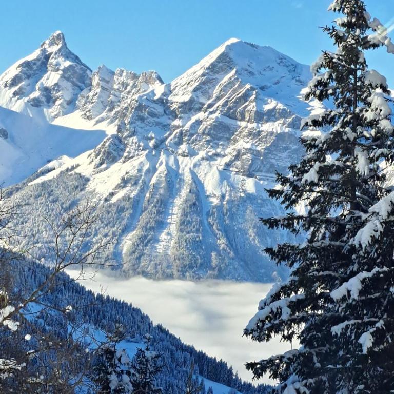 Superbe Duplex- Résidence Alpine - Appartamento Superior con Sauna - 43