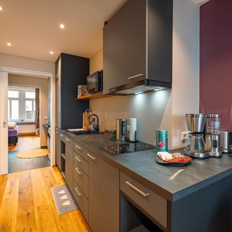 Alte Konditorei - Apartment mit 1 Schlafzimmer und Seeblick - 2