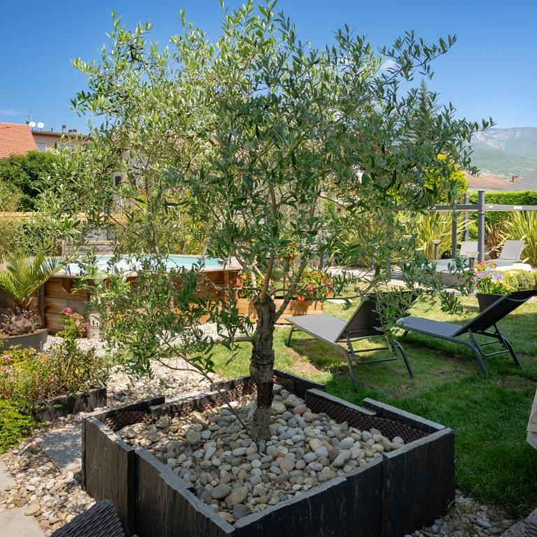 La suite des Sommets - Appartement 1 Chambre - Vue sur Jardin - 24