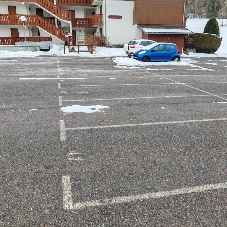 Cœur des neiges - Studio avec Terrasse - 10
