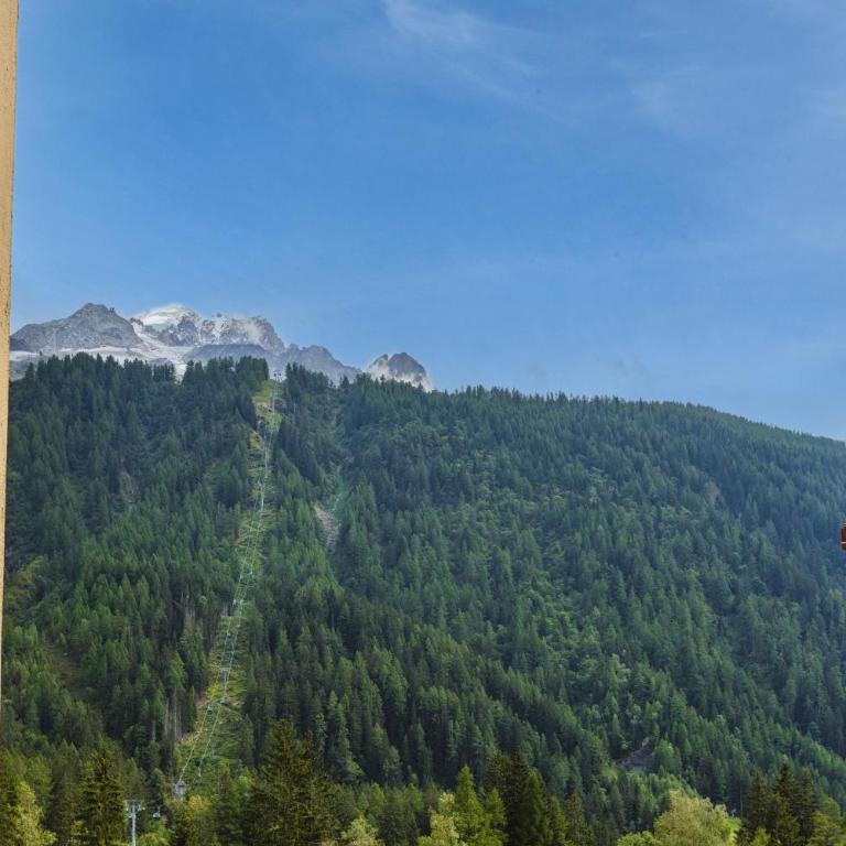 Grand Roc C205 from Slopes 280m, View, Parking & WiFi - Happy Rentals - Apartment mit Balkon - 10