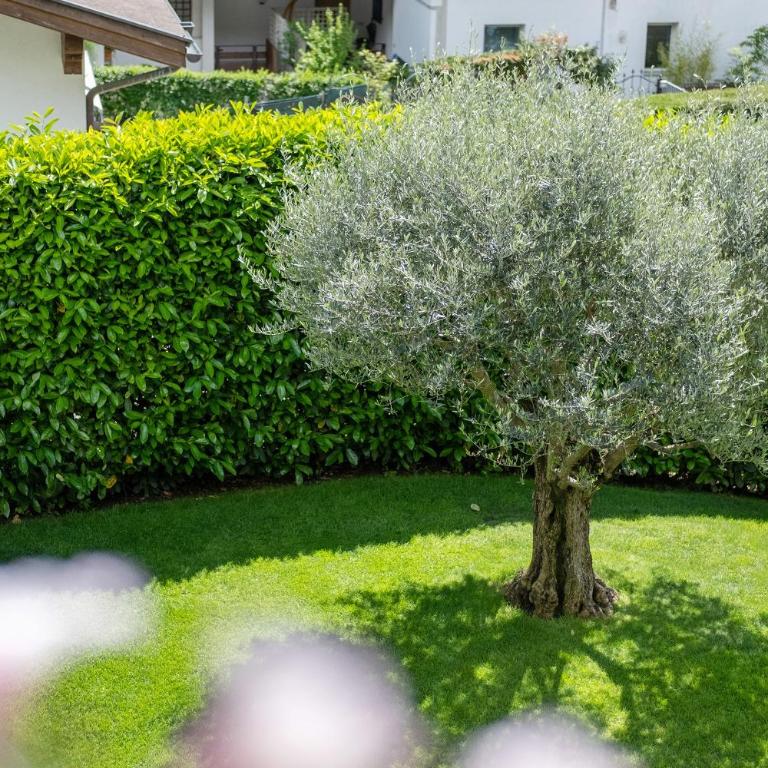 Ferienwohnung Haus Christine - Appartamento Superior con 1 Camera da Letto e Balcone - 21