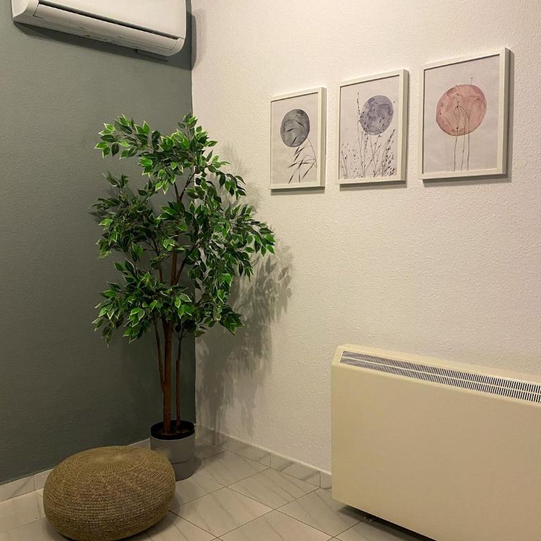 Casita Helena - Apartamento Estudio con vistas al mar - 8