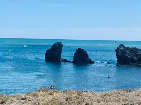 Les Falaises Apartment 4 pers Terrace Parking Beach 150m away - One-Bedroom Apartment with Terrace - 12