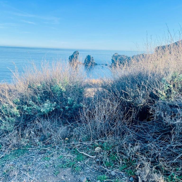 Les Falaises Apartment 4 pers Terrace Parking Beach 150m away - One-Bedroom Apartment with Terrace - 19