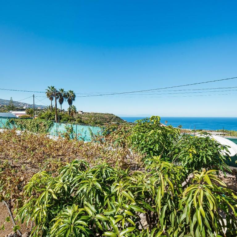 Apartamento las Viñas 1 - Apartamento Deluxe de 2 dormitorios con vistas al jardín - 35