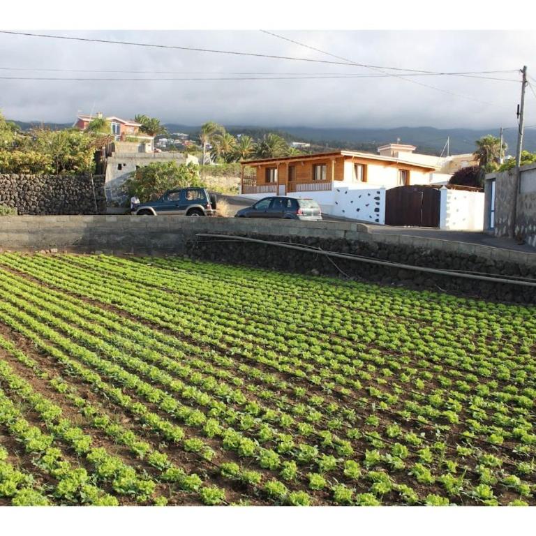 Apartamento las Viñas 1 - Apartamento Deluxe de 2 dormitorios con vistas al jardín - 33