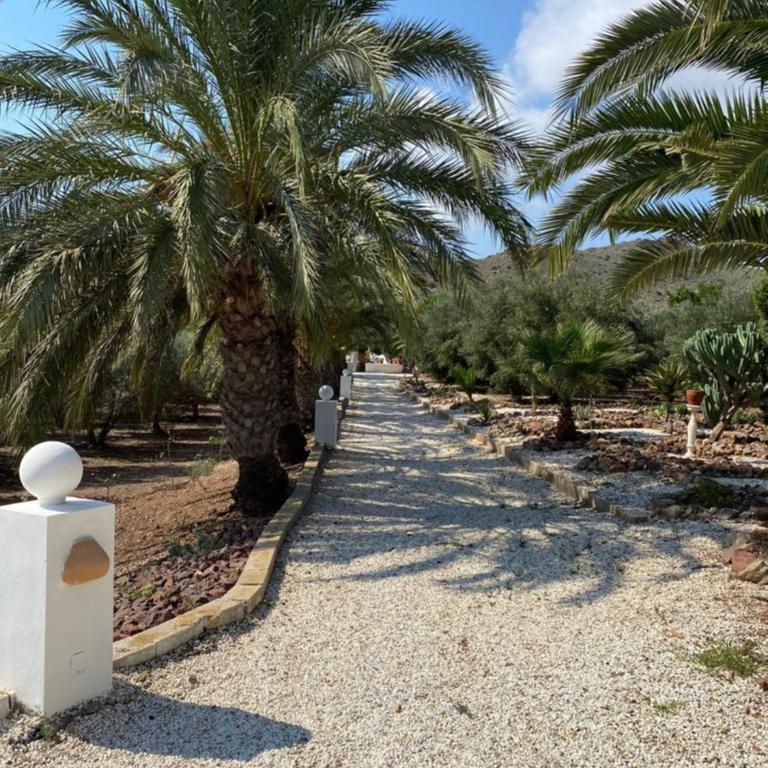 Cortijo Torreblanca -2 a 4 personas - Villa con vistas al jardín - 14