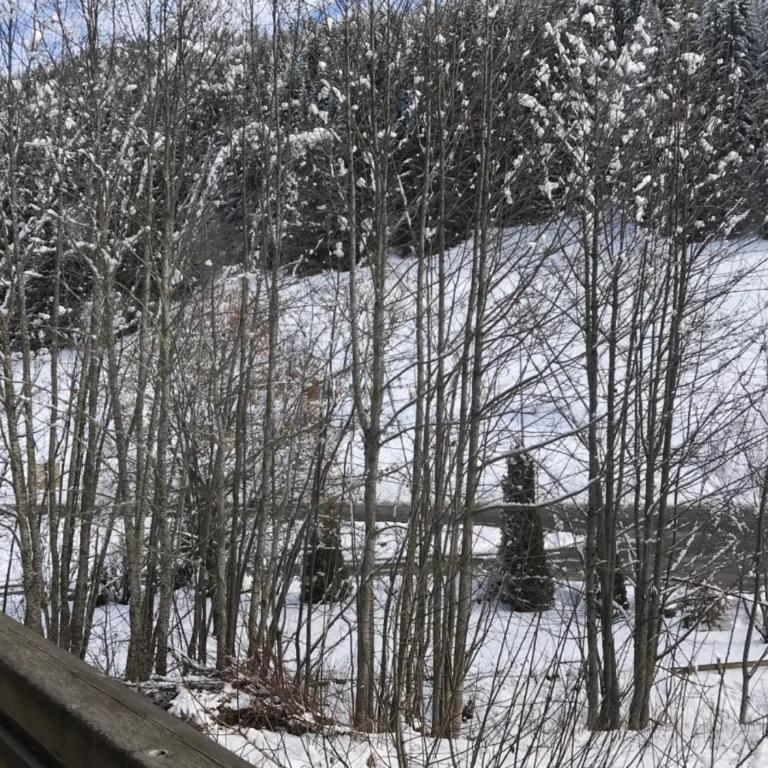 Apt Le retour aux Neiges - Les Gets - Apartamento Superior de 1 dormitorio con balcón - 12