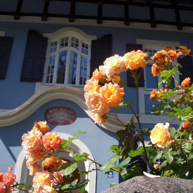 Fewo im Blauen Haus Eg - Two-Bedroom Deluxe Apartment with Garden View - 27