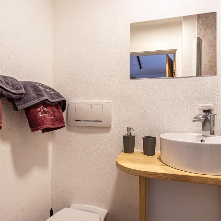 Bergwelt A1 - Premium Apartment mit 3 Schlafzimmern und Balkon - 12