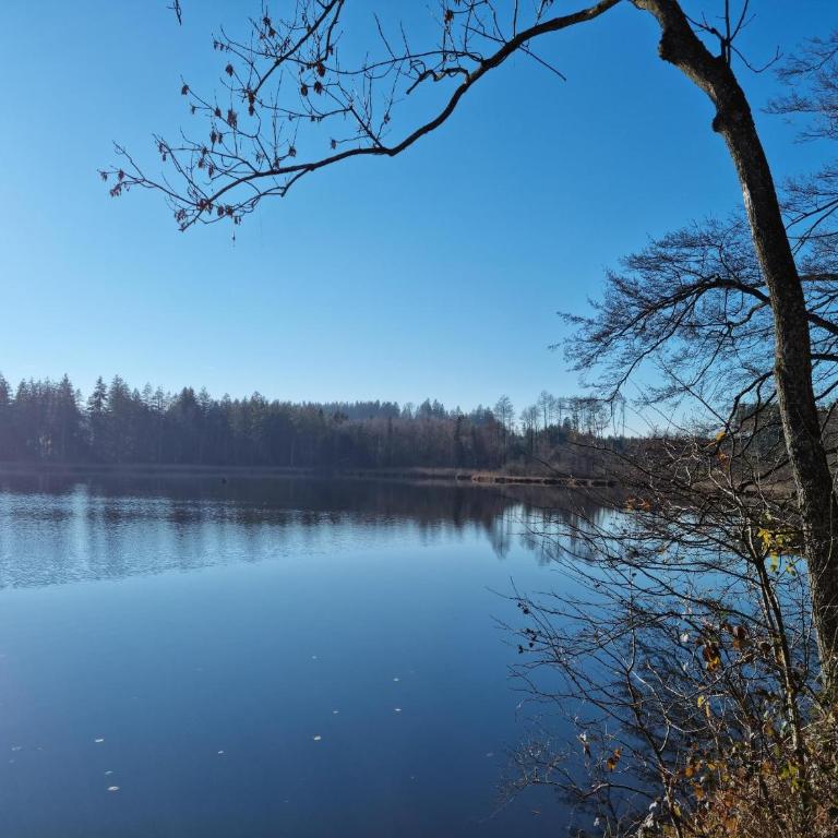 Butterei - Apartment mit 1 Schlafzimmer und Gartenblick - 26