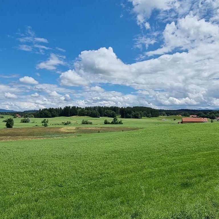 Butterei - Apartment mit 1 Schlafzimmer und Gartenblick - 22