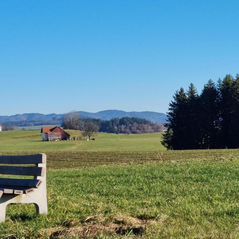 Butterei - Apartment mit 1 Schlafzimmer und Gartenblick - 24