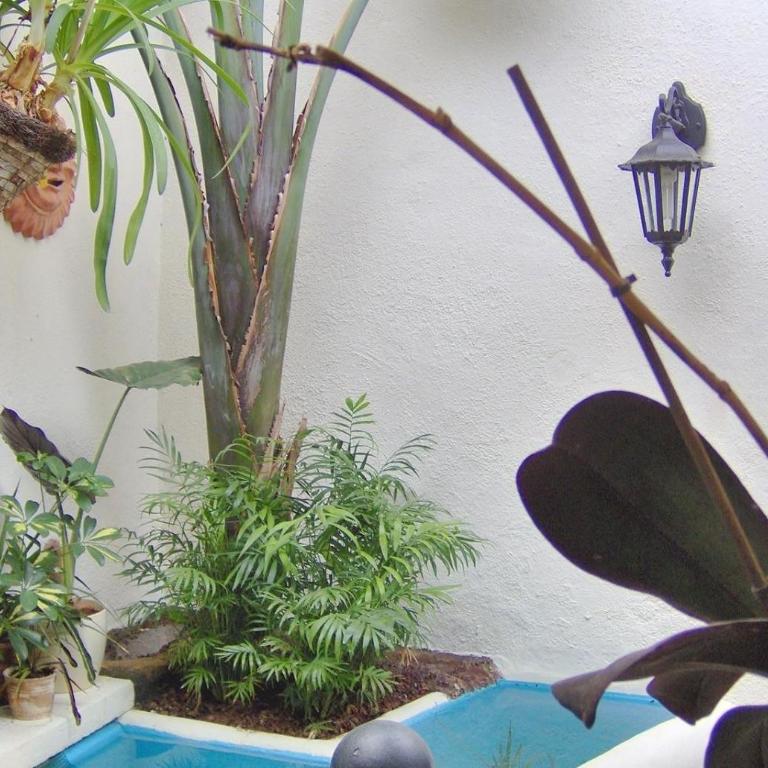 Aptos Monasterio de San Antonio 7 - Apartamento Superior de 1 dormitorio con balcón - 26
