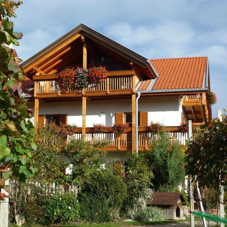 Stettnerhof Wohnung Laugen - Appartamento con Terrazza - 16