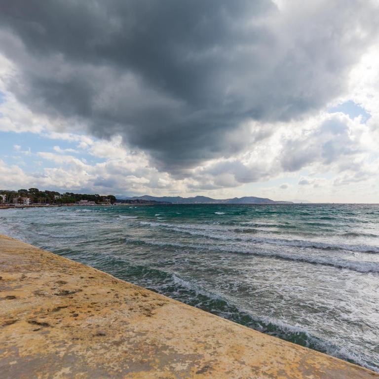 Les pieds dans l'eau - Studio - Vue sur Mer - 20