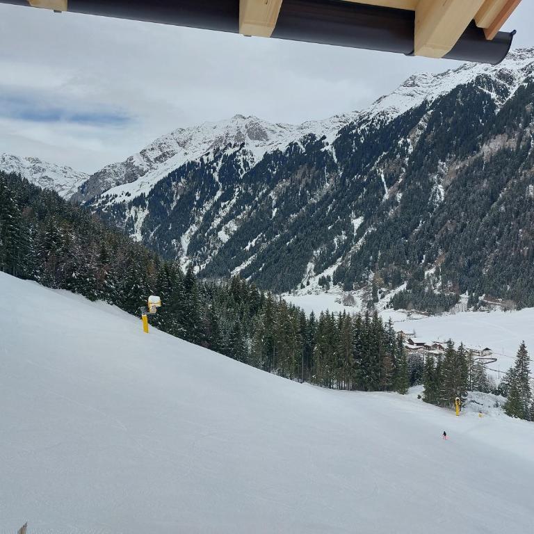 Blosegghof Bergchalets Himmelblick - Apartamento Deluxe de 2 dormitorios con vistas al jardín - 33