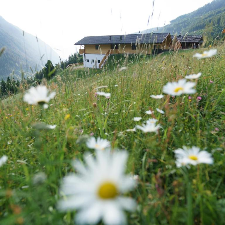 Blosegghof Bergchalets Himmelblick - Apartamento Deluxe de 2 dormitorios con vistas al jardín - 43