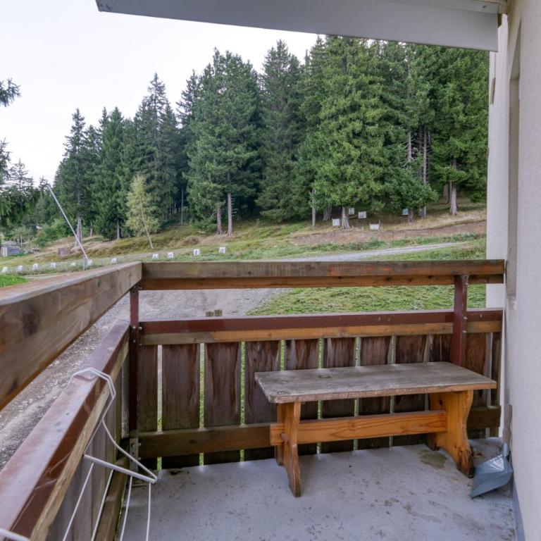 Les sapins 1 - Appartement 1 Chambre Supérieur avec Balcon - 16