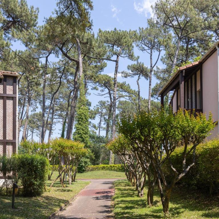 Appartement Olivia - Appartement 1 Chambre - Vue sur Jardin - 19
