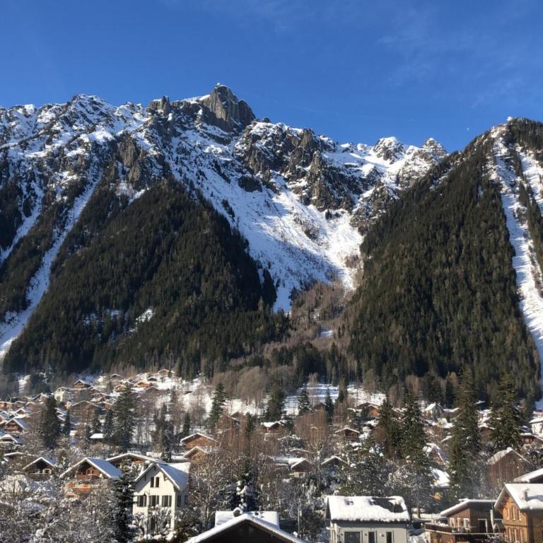 Le Balcon du Brévent - Happy Rentals - Estudio - 7