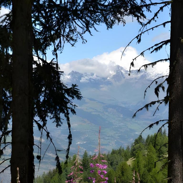 Casa Andrea vista Monte Bianco - Appartamento Superior con 1 Camera da Letto e Balcone - 25