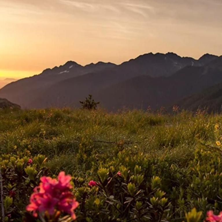 Seebrunn - Kuppelwieser Alm - Appartamento con 2 Camere da Letto e con Vista Montagna - 24