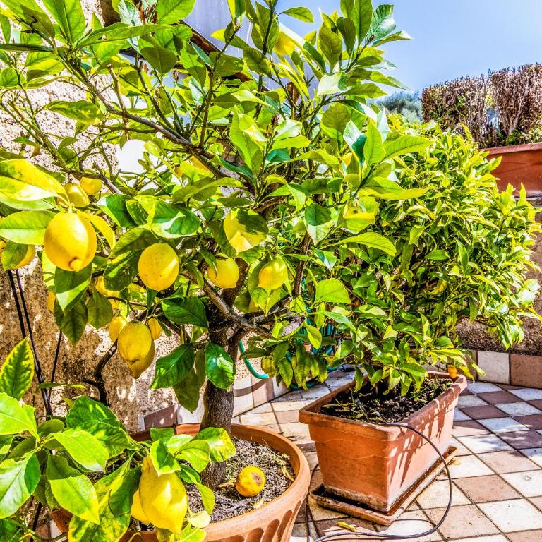 Relaxing 2BR Vacation Home with Lake Garda View & Balcony - Haus mit 2 Schlafzimmern - 37