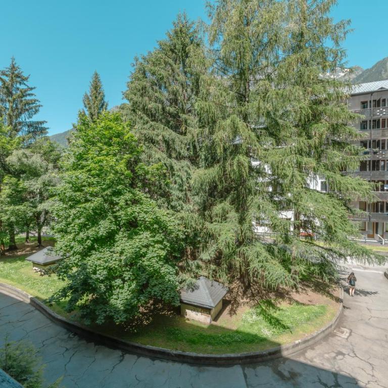 Chamonix Sud - Jonquilles 217 - Happy Rentals - Appartamento con Balcone - 17