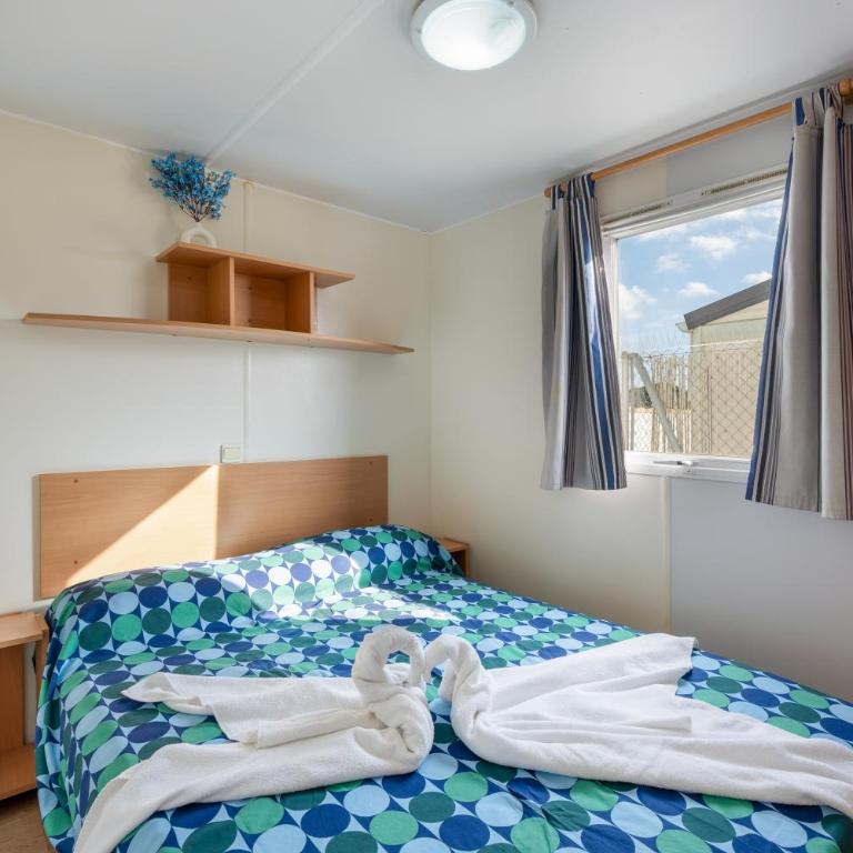 El Olivo 2 - Apartamento con terraza - 9