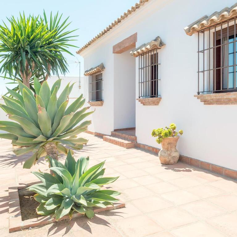 Villa Conilsur - Apartamento con terraza - 10