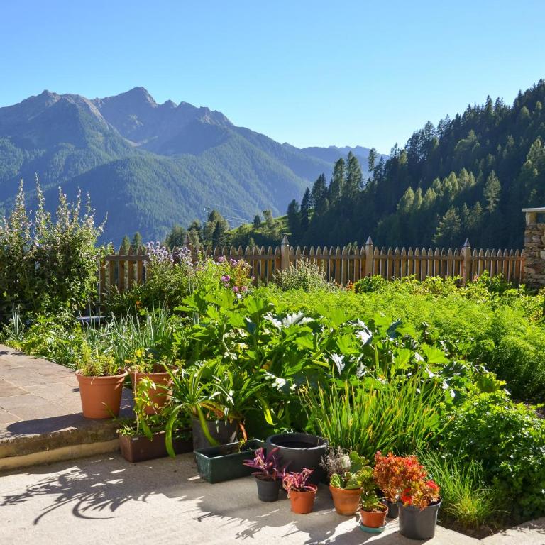 Thalhof Hochwart - Appartement 1 Chambre Supérieur avec Balcon - 18