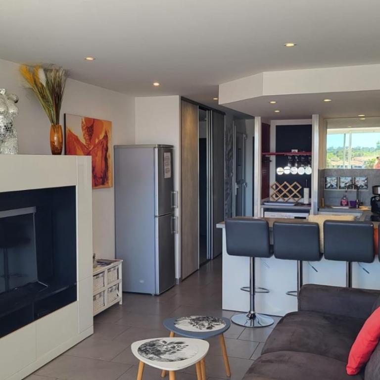 CAP D'AGDE Naturiste Port Ambonne - POPCORN - One-Bedroom Apartment - 4