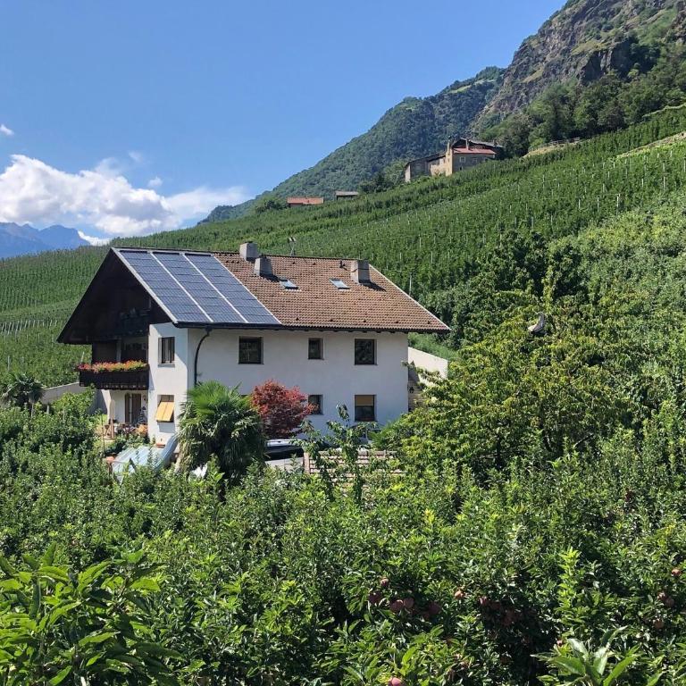Pixnerhof - Ferienwohnung Golden - Apartamento Deluxe de 2 dormitorios con vistas al jardín - 33