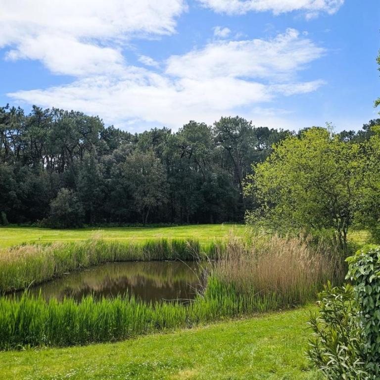 Résidence Bocage Au Centre Du Golf - Maison 3 Chambres - 6