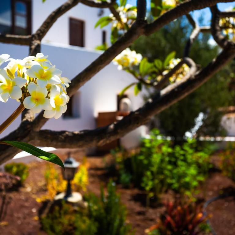 Villa Jupe - Apartamento de 1 dormitorio con jardín - 23
