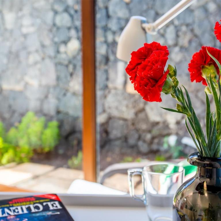 Villa Jupe - Apartamento de 1 dormitorio con jardín - 7