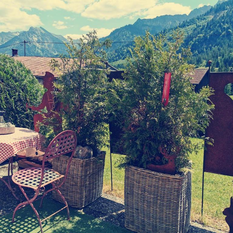 Allgäu Fewo Hüttenflair Bergblick - Apartment mit 1 Schlafzimmer und Gartenblick - 11