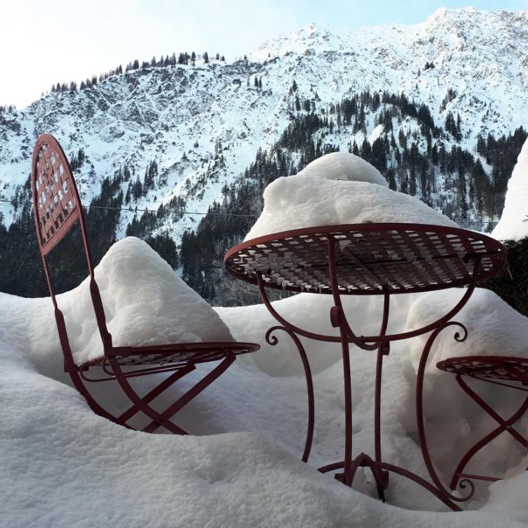 Allgäu Fewo Hüttenflair Bergblick - Apartment mit 1 Schlafzimmer und Gartenblick - 2