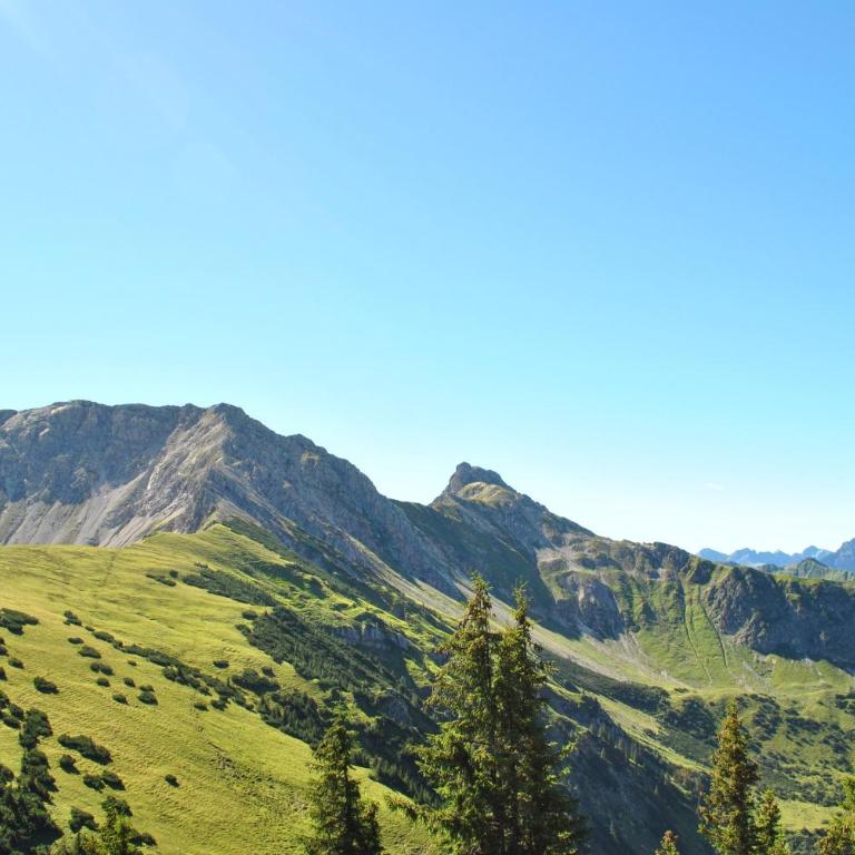 Allgäu Fewo Hüttenflair Bergblick - Apartment mit 1 Schlafzimmer und Gartenblick - 17