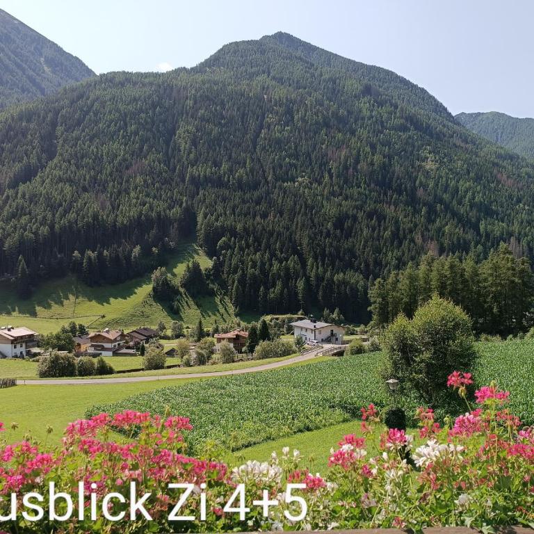 Bed and Breakfast Ederhof - Doppelzimmer mit Bergblick - 11