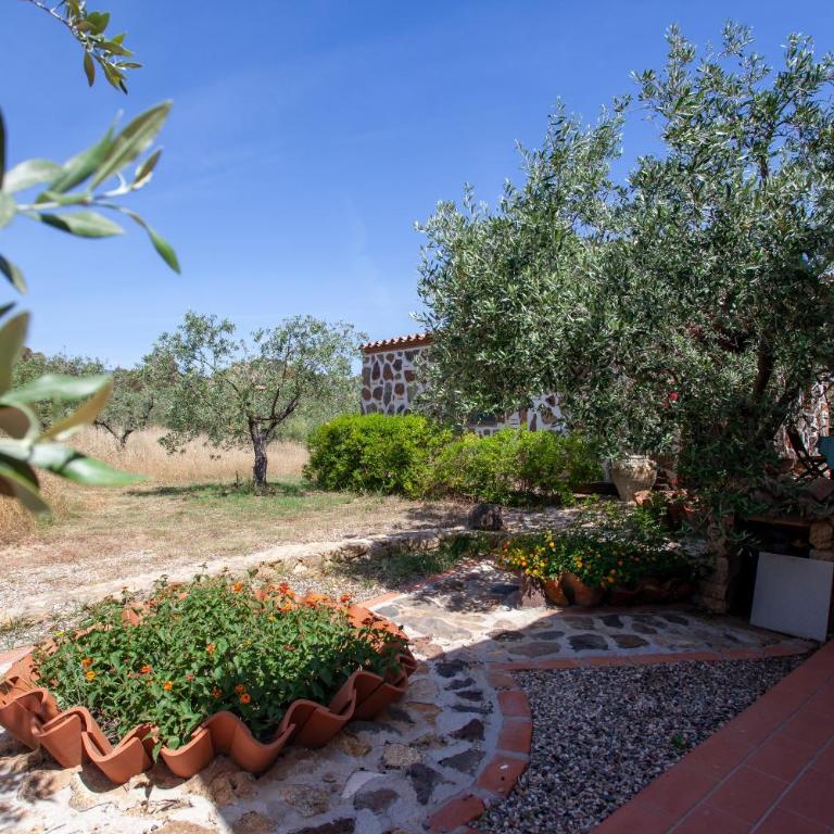 Sa Domedda - Casa con 1 Camera da Letto - 4