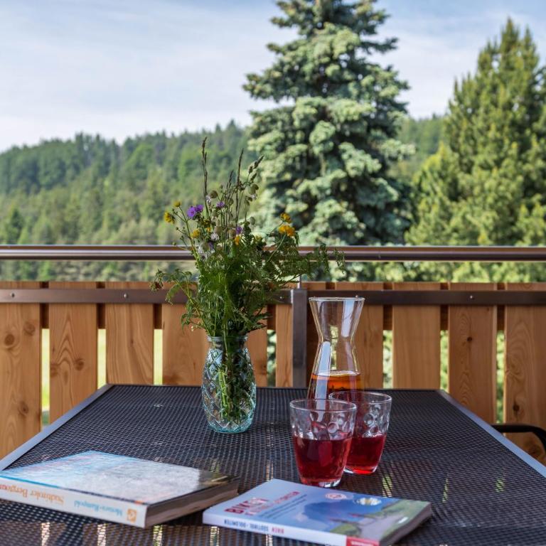Feichterhof - Appartamento Superior con 1 Camera da Letto e Balcone - 15